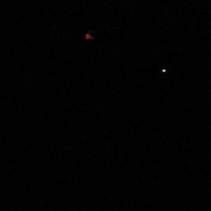 Meet your Posher, Belinda